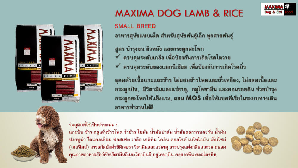 อาหารเม็ด สำหรับสุนัข แม็กซีม่า สายพันธุ์เล็ก 2 กก.